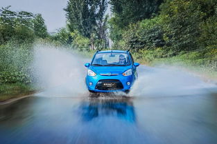 19年新能源汽車銷量盤點(diǎn) 微型車市場格局生變，奇瑞小螞蟻跌出前五