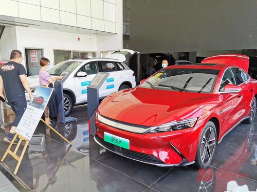 新能源車補(bǔ)貼退坡調(diào)查 市場終端火爆，車企策略分化，今年銷量劍指600萬輛